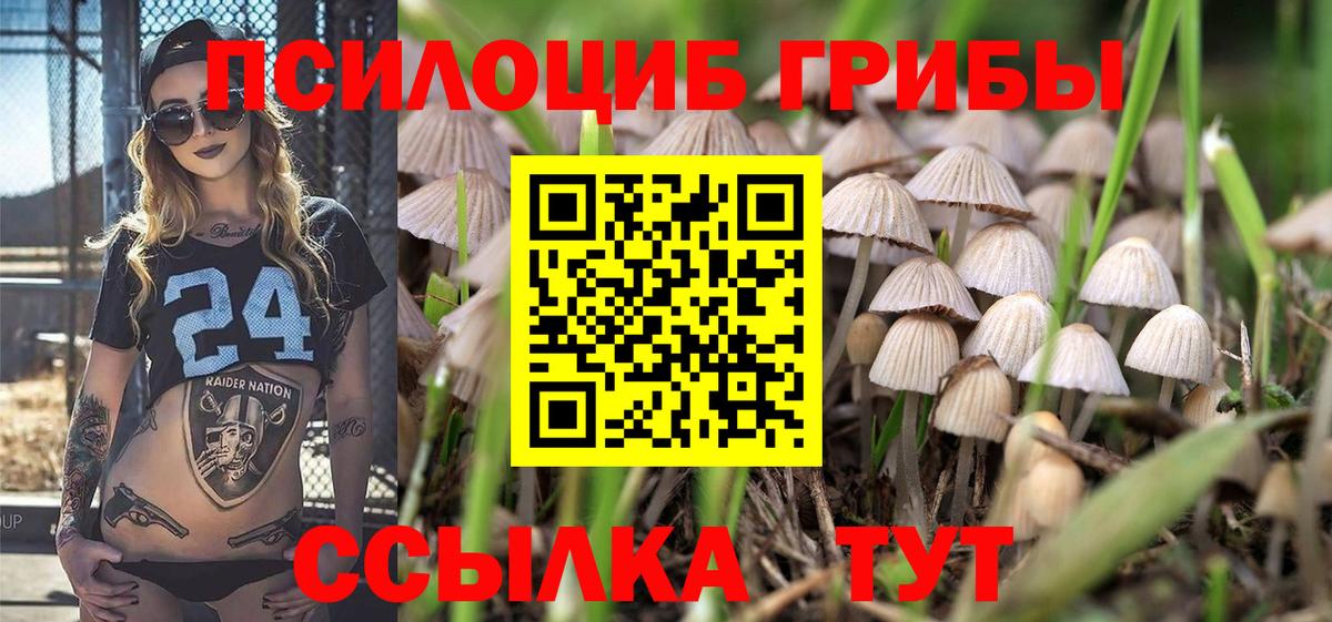 Псилоцибиновые грибы Psilocybe  Вход с VPN  Краснознаменск 