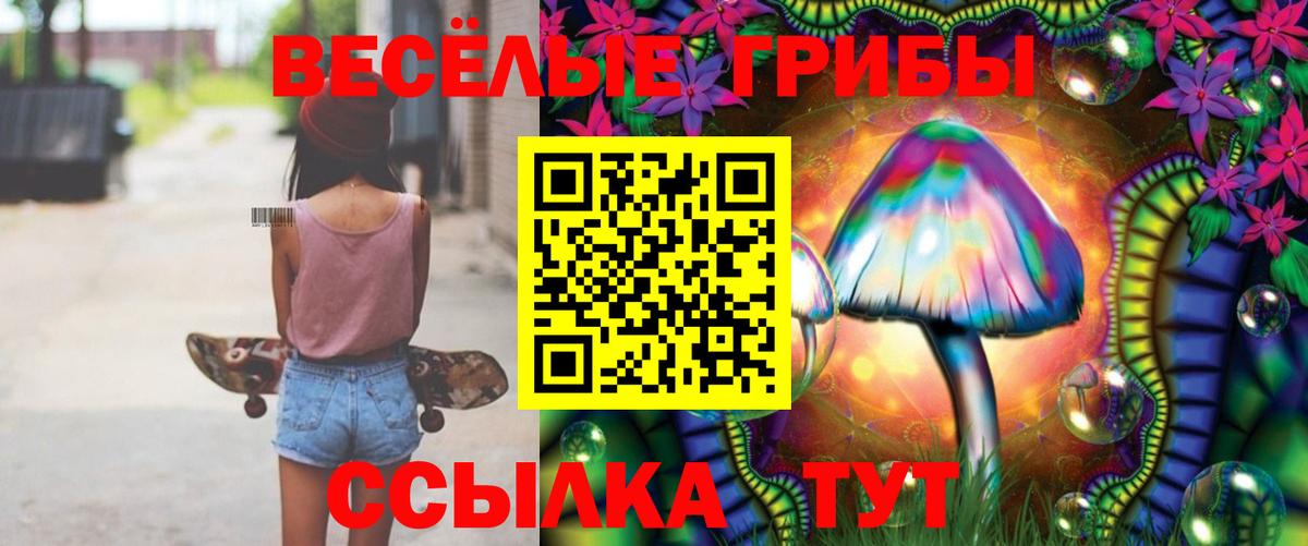Псилоцибиновые грибы Psilocybe Краснознаменск
